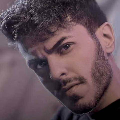 دانلود آهنگ گل من زدی ریشمو کندی