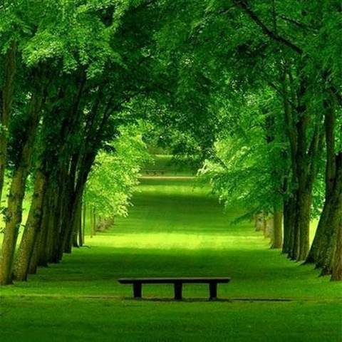 دانلود آهنگ دورم میکنی مجبورم میکنی