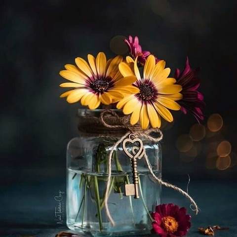 دانلود آهنگ دوست دارم میدونی تا وقتی مهربونی