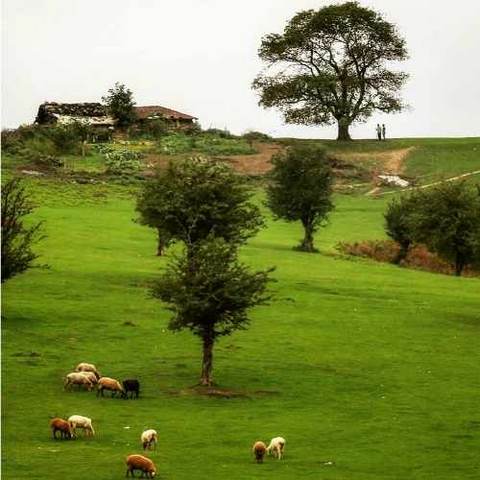 دانلود آهنگ شمالی سلیمه جان