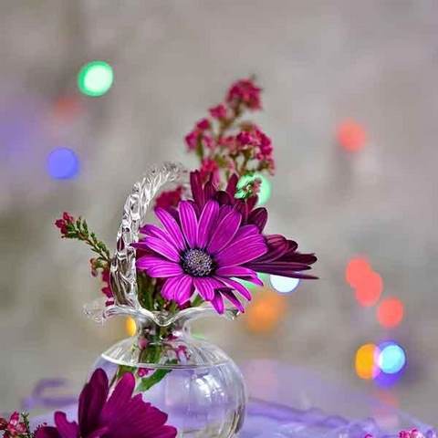 دانلود آهنگ تو خوبی تو ماهی الهی سیم بمونی