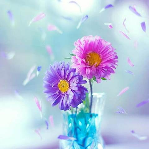 دانلود آهنگ یه زنگ به عباس میزنم