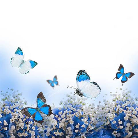 دانلود آهنگ مازندرانی جان لیلی