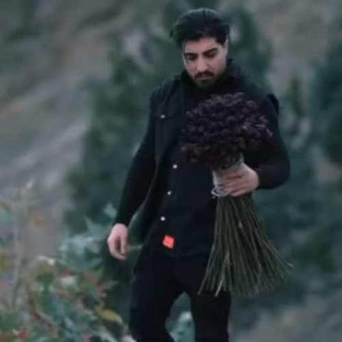 دانلود آهنگ میشه برگردی نگو دیره