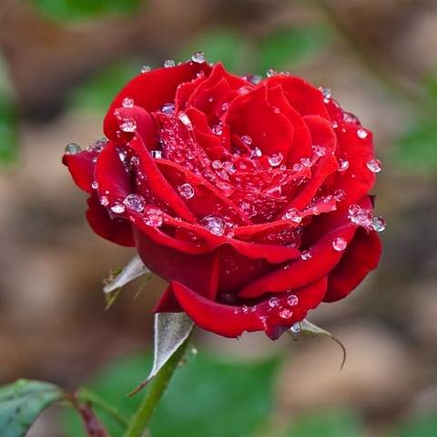 دانلود آهنگ قلب من از صدای تو چه عاشقانه کوک شد