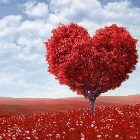 دانلود آهنگ نمیدونی چقدر دلتنگتم آدم مگه تو عاشقی میزاره کم
