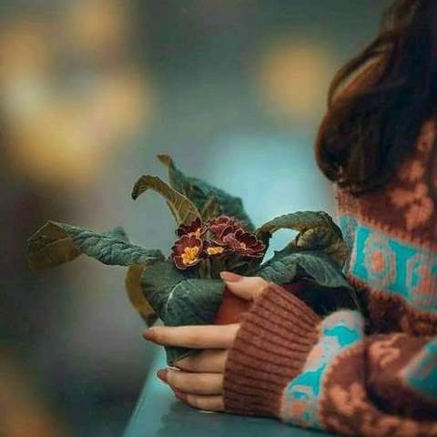 دانلود آهنگ کی بهتر از تو