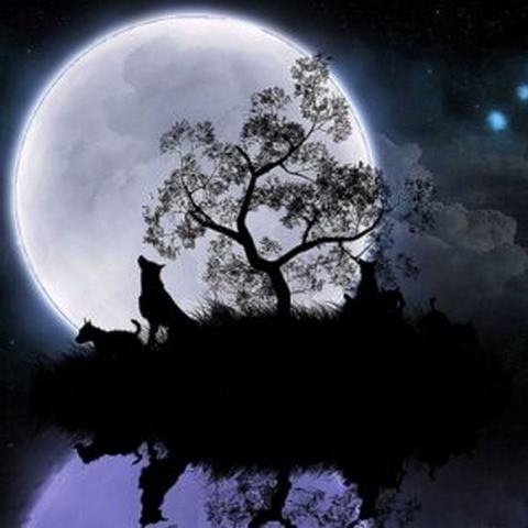 دانلود آهنگ ای خدای بی نهایت نبود حواسم به ساعت