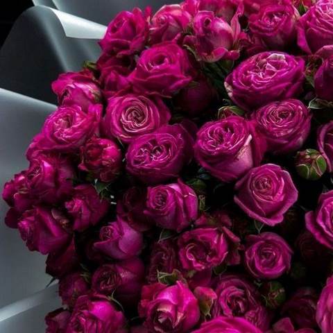 دانلود آهنگ بهم حس خوب میدی مثل بچه ها