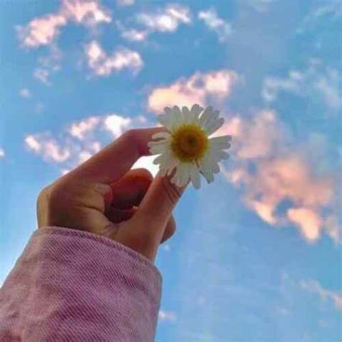 دانلود آهنگ چقدر قشنگی واسم همونی که میخواستم