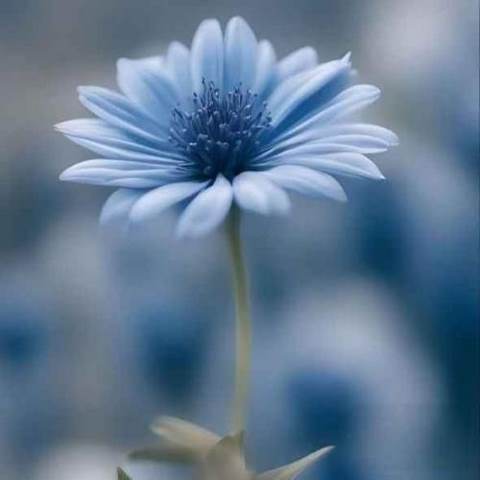 دانلود آهنگ آخه تا به کی آروم بشینیم