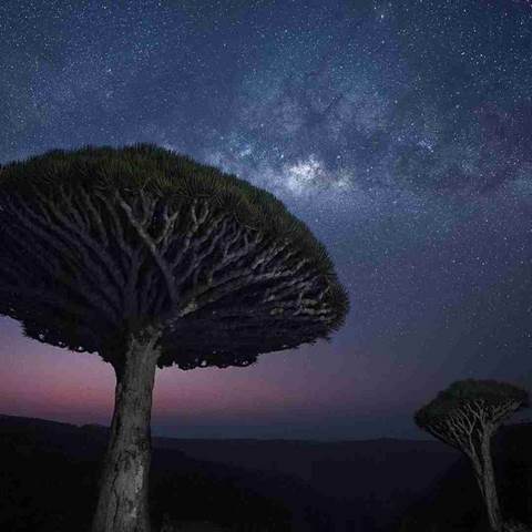 دانلود آهنگ از سنگ صدا آمد از اهل صدا نه