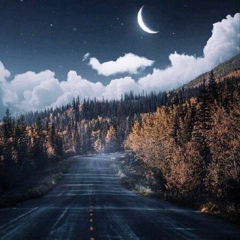 دانلود آهنگ تو اون کوه بلندی