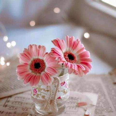 دانلود آهنگ دله دیگه تنگ بونه ریمیکس اینستا